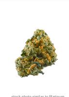 Lemon Cherry Gelato 28g