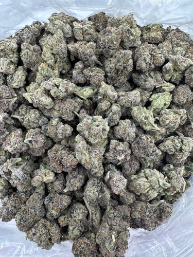 Black Gary cookies 14g