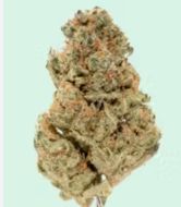 Mango OG 14g