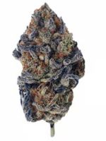 California Raisins 14g