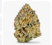 June Plum 14g
