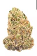 GTA Vice City 14 g