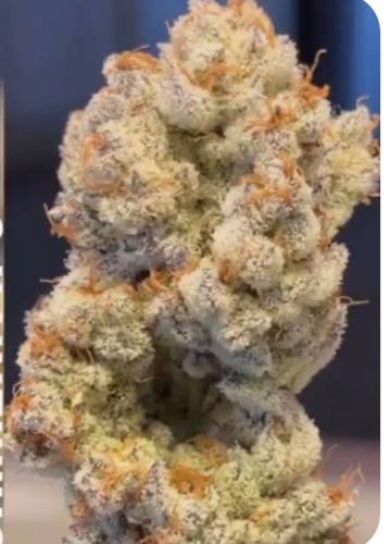 Koosh the Magic Dragon 14g