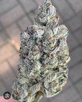 Marshmallow POP OG 28g