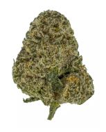 Headhunter 14g