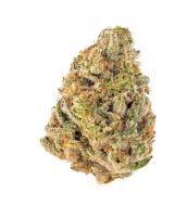 Dante”s inferno 14g