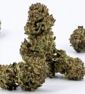 Artificial dank 14g