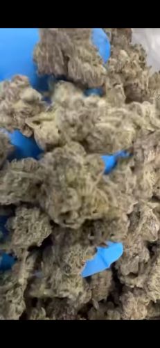 Banana Ice  Runtz 14g