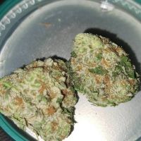 Modified grapes 28g