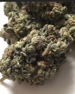 DoSiDo 14g 