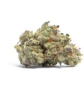 Cookies and Cream 14g