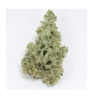 Cap Junky 14g 