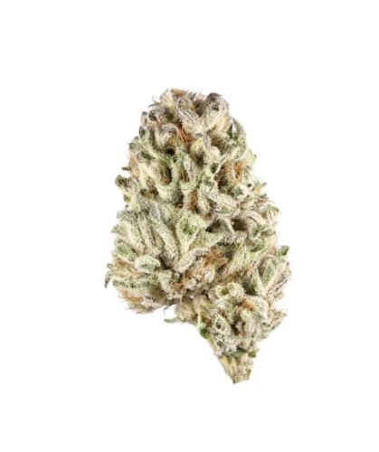 Biscotti 28g
