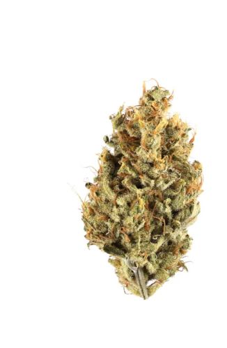 Cherry bomb 28g